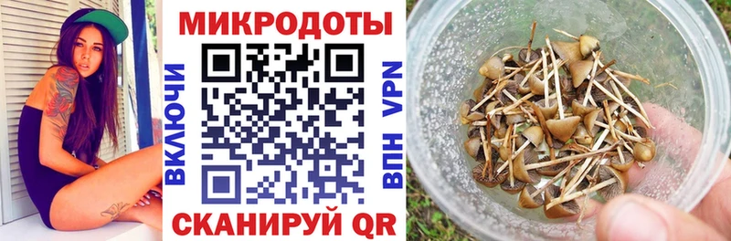 Галлюциногенные грибы мицелий  Купить закладки  Дюртюли 